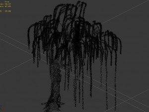 plant-forest-weeping willow 07 3D Model