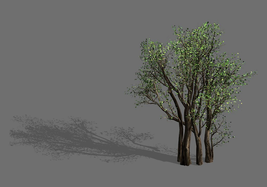 plant-forest-big tree 108 3D Model .c4d .max .obj .3ds .fbx .stl .blend 