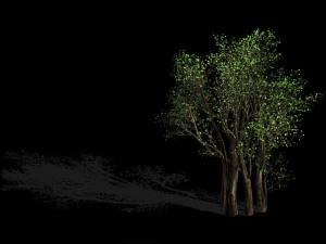 plant-forest-big tree 108 3D Model