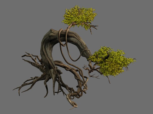 plant-forest-big tree 109 3D Model .c4d .max .obj .3ds .fbx .stl .blend 