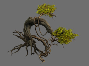 plant-forest-big tree 109 Modelo 3D