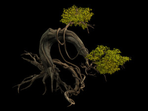 plant-forest-big tree 109 3D Model