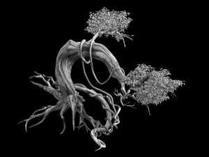 plant-forest-big tree 109 3D Model