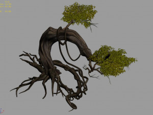plant-forest-big tree 109 3D Model