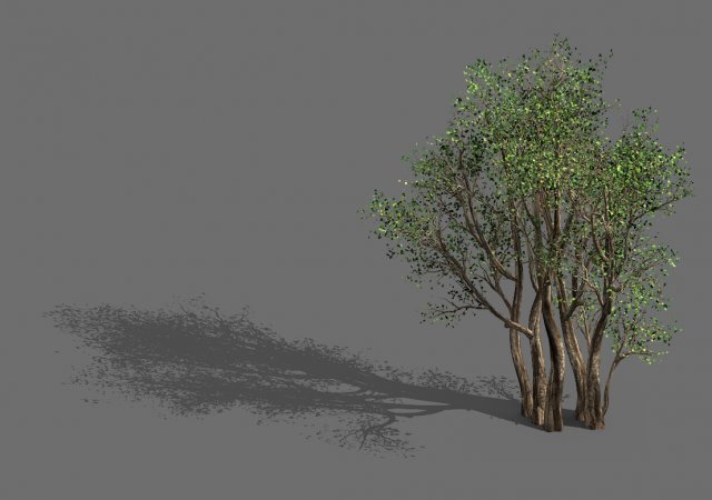 plant-forest-big tree 359 3D Model .c4d .max .obj .3ds .fbx .stl .blend 