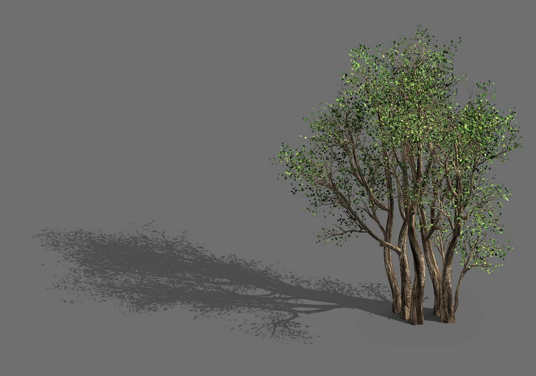 plant-forest-big tree 359 3D Model .c4d .max .obj .3ds .fbx .stl .blend 