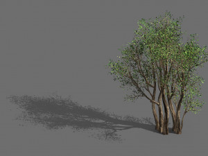plant-forest-big tree 359 3D मॉडल