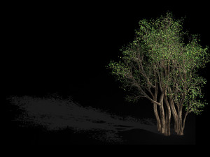 plant-forest-big tree 359 3D Model