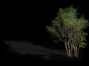 plant-forest-big tree 359 3D Model