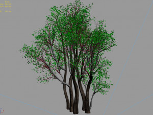 plant-forest-big tree 359 3D Model