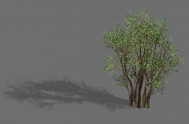 plant-forest-big tree 689 3D Модель .c4d .max .obj .3ds .fbx .stl .blend 