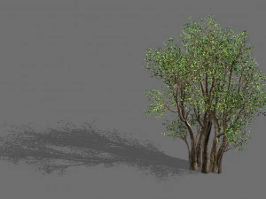 식물-숲-큰 나무 689 3D 모델