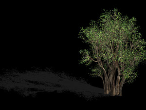 plant-forest-big tree 689 3D Модель
