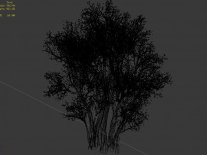 plant-forest-big tree 689 3D Модель