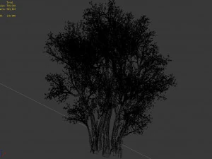 plant-forest-big tree 689 3D Model