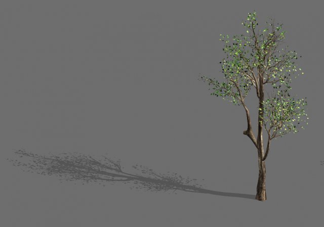 plant-forest-big tree 759 3D Модель .c4d .max .obj .3ds .fbx .stl .blend 