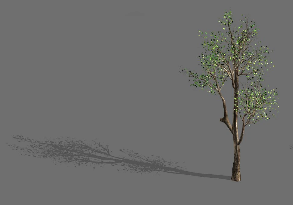 plant-forest-big tree 759 3D Model .c4d .max .obj .3ds .fbx .stl .blend
