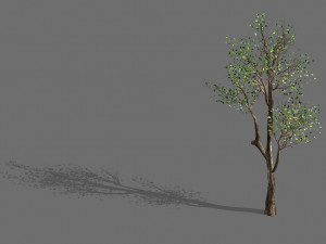 plant-forest-big tree 759 3D 모델