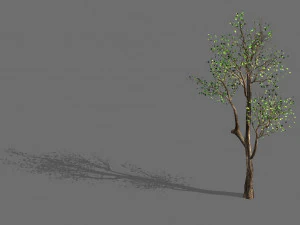 plant-forest-big tree 759 3D Model