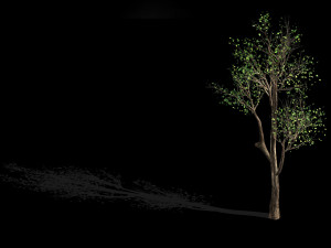 plant-forest-big tree 759 3D Модель