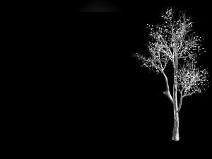 plant-forest-big tree 759 3D Model