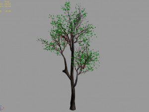 plant-forest-big tree 759 3D Модель
