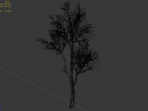 plant-forest-big tree 759 3D Model