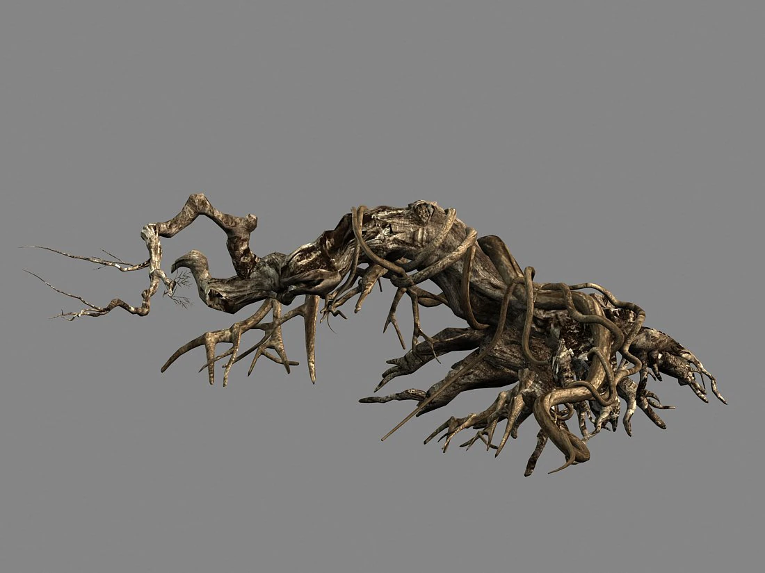plant-forest-dead tree 119 3D Model .c4d .max .obj .3ds .fbx .stl .blend 