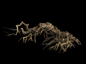 plant-forest-dead tree 119 3D Model