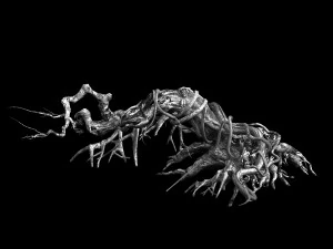 plant-forest-dead tree 119 3D Model