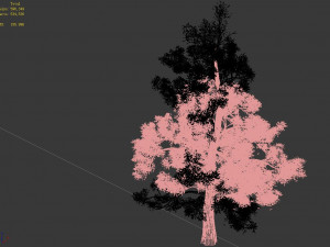 plant-yang kui Modelo 3D