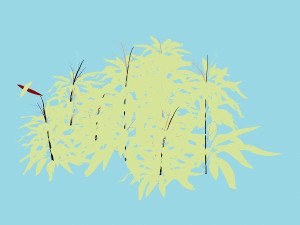 bamboo forest-shrub 11 3D Model