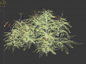 bamboo forest-shrub 11 3D Model