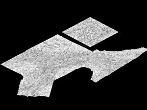 surface-cracked surface 27 3D 모델