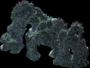 topography-seabed-coral 32 3D Model