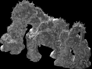 topography-seabed-coral 32 3D Model