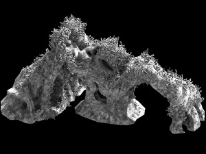 topography-seabed-coral 36 3D Model