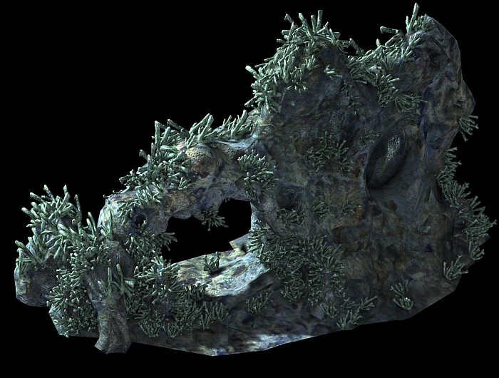 topography-sea floor-coral-mountain 3D Model .c4d .max .obj .3ds .fbx .stl .blend 
