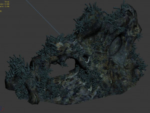 topography-sea floor-coral-mountain 3D 模型