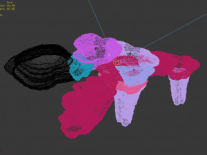 topography-sea floor-rock mountain-stone basin Modelo 3D