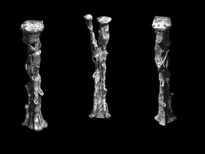 topography-seabed-pillar 75 Model 3D