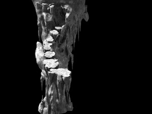 huaguoshan-terrain 102 Model 3D