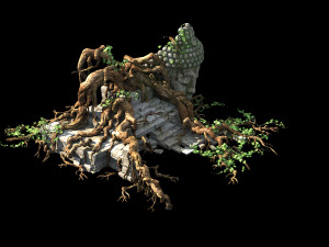 huaguoshan camp-big tree root 03 Modèle 3D