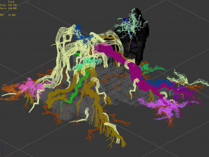 huaguoshan camp-big tree root 03 Modèle 3D