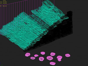 dali-stone stairs 27 3D Model