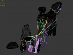 mountain-wound rattan-stone Modèle 3D