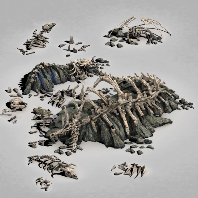 dragon fortress-dragon bone 3D Модель .c4d .max .obj .3ds .fbx .stl .blend 