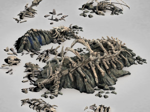dragon fortress-dragon bone Modèle 3D