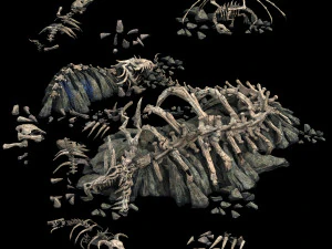 dragon fortress-dragon bone 3D Model