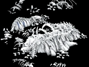 dragon fortress-dragon bone 3D Model